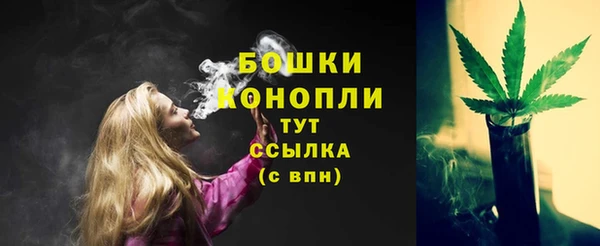 сатива Магас