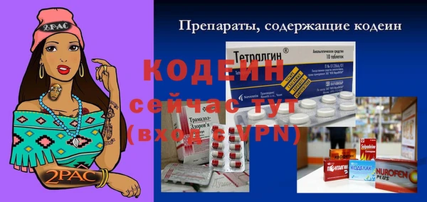 сатива Магас
