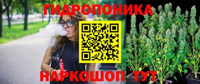 амф Канаш