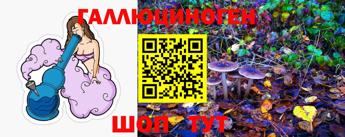 Галлюциногенные грибы мухоморы Лениногорск